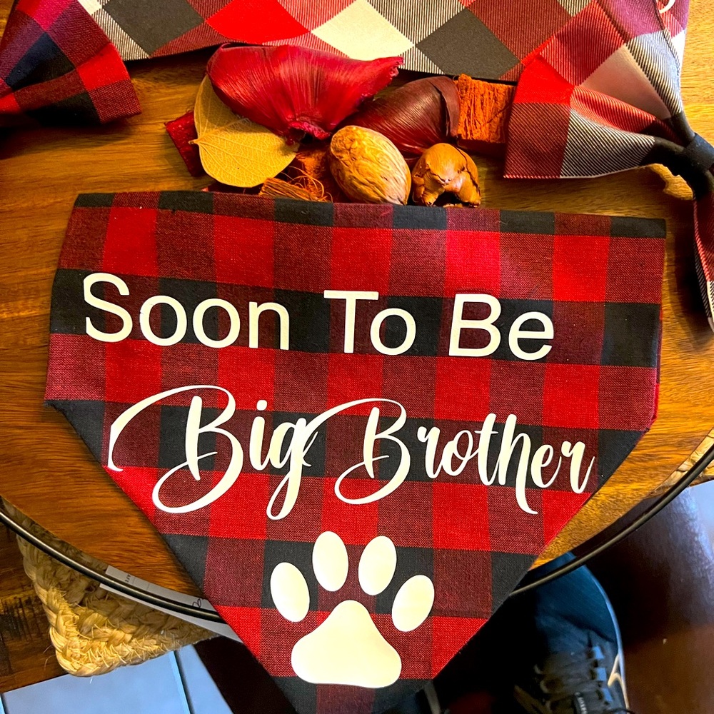 Dog Bandanna Announcement with match bow and dog tag